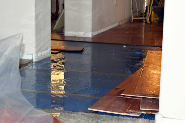 Professional Basement Flood Cleanup technician working in Albany, MO